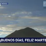 8NTV