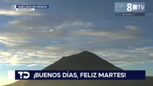 8NTV
