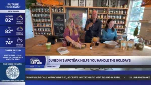 ABC 28 Tampa Bay FL (WFTS)