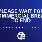 ABC 7 Detroit MI (WXYZ)