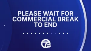 ABC 7 Detroit MI (WXYZ)