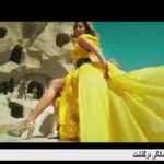 AFN TV