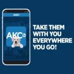 AKC TV