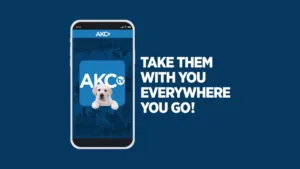 AKC TV