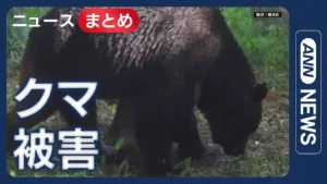 ANN News