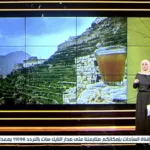 Al-Sahat TV