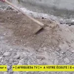 Alpha et Omega TV