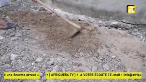 Alpha et Omega TV
