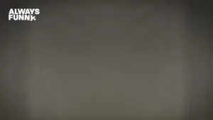 Always Funny Videos