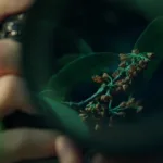 CGTN Documentary