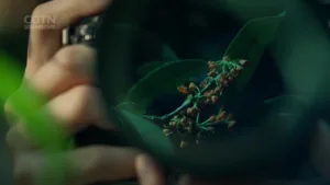 CGTN Documentary