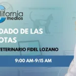 California Medios TV