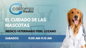 California Medios TV