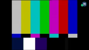 Canal 11 TuTV
