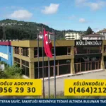 Cay TV