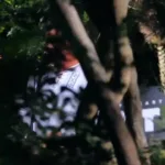 Ciracu TV