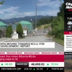 CityNews Edmonton