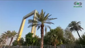 DD Haryana