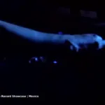 DanceTV Techno Warehouse