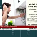 DerryTV 17