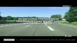 Dhamma TV
