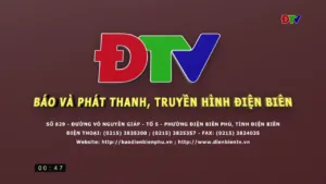 Dien Bien TV