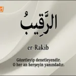 Dost TV