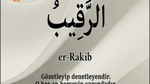 Dost TV
