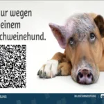 Erz-TV Stollberg