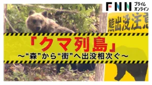 FNNプライムオンライン