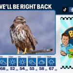 FOX 5 Atlanta GA (WAGA-TV)