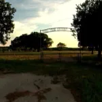Filmrise Forensic Files