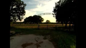 Filmrise Forensic Files