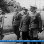 Freedom (FREEДOM) (UATV)