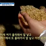 GugakTV 국악방송