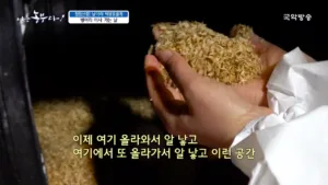 GugakTV 국악방송