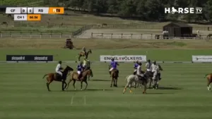 Horse TV