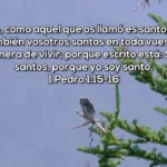 Hosanna Vision