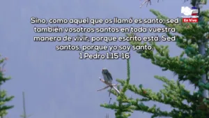 Hosanna Vision