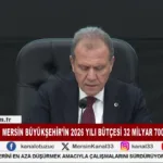 Kanal 33