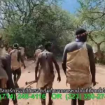 LS TV