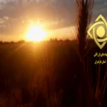Mazandaran TV