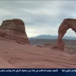 MusawaChannel
