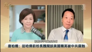 NTD TV
