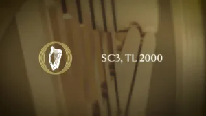 Oireachtas TV Committee Room 3