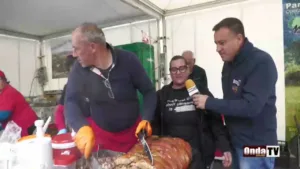 Onda TV
