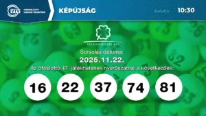 Oroszlányi Városi Televízió