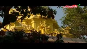 Peppers TV