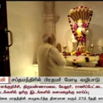 Polimer TV