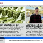 RÚV 2